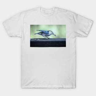 Nuthatch T-Shirt